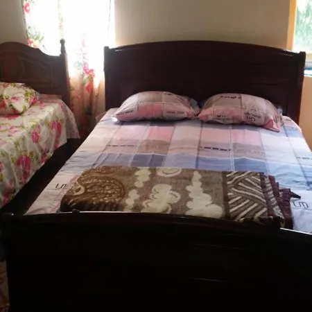 Businesses 2 Polisi i Vogel